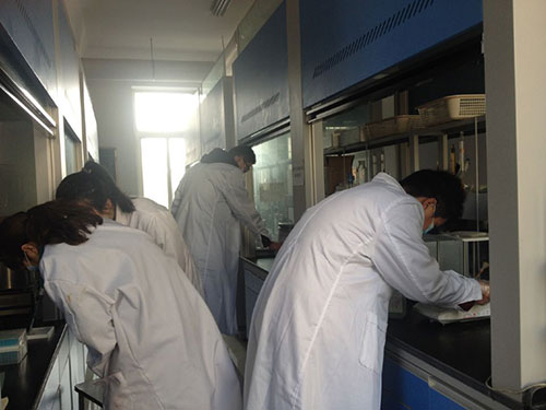 專(zhuān)家團(tuán)隊(duì)